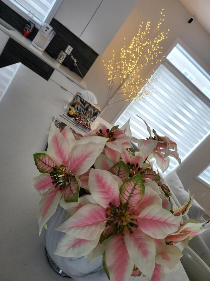Bliss-Home Ottawa Eksteriør bilde